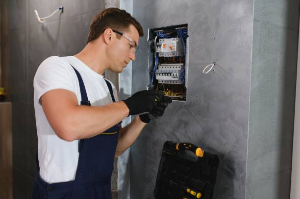 Best Electric Panel Repair  in Elkridge, MD
